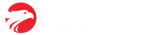 Wizard